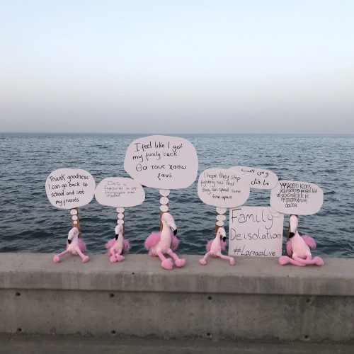 Family Deisolation (aka the Flamingos)